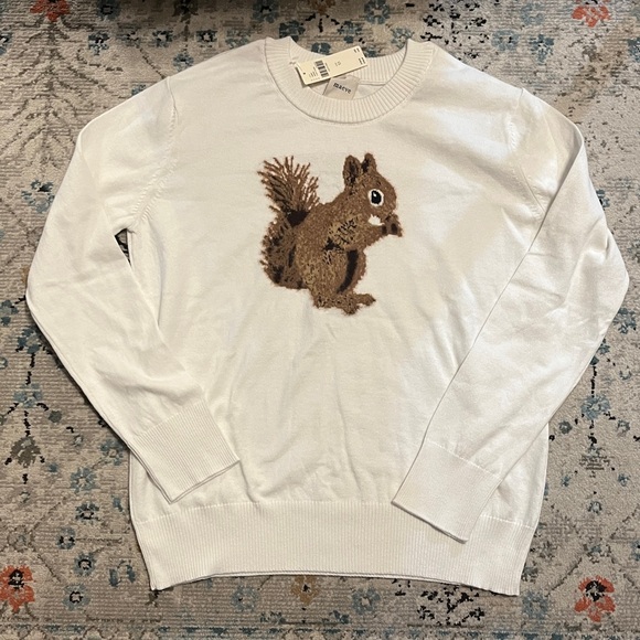NWT Anthro Maeve Textured Squirrel Icon Sweater - Picture 4 of 16